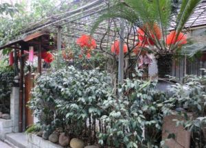 百花芳邻3室2厅东