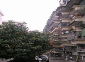 鸿业公寓3室2厅南