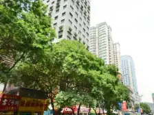 西关十字 下沟 电梯房 精装修 户型方正