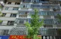 兰海商贸城家属院实景图