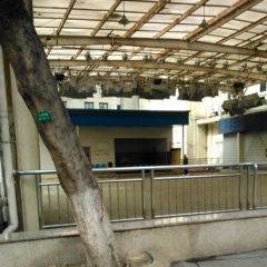府青路一段3号3室1厅东北