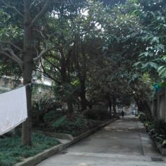 府青路一段3号 2室1厅 南