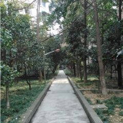 府青路一段3号2室1厅东南