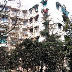 府青路一段3号3室0厅南