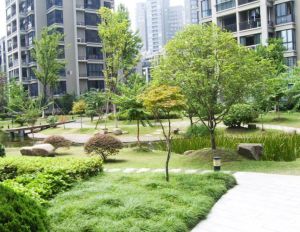 临江路7号1室1厅东南