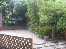 建银大厦 3室2厅 西北