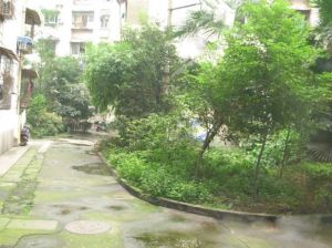 新鸿路342号院2室1厅南