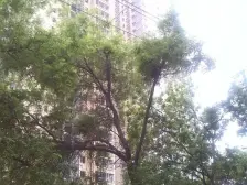 静宁路 黄河边 四室两厅 全天太阳 视野好