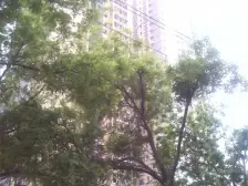 静宁路 黄河边 四室两厅 全天太阳 视野好