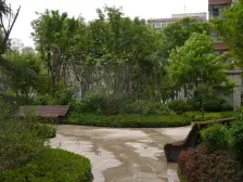 森林小区/主楼大平层 /50万的精装修/三室两厅两卫