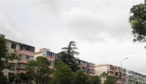 曙光社区两房户型方正南北通户型房东诚心出售