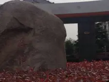 奉贤 乐怡苑(奉贤) 2室2厅