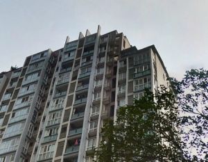 东方锦都2室2厅南
