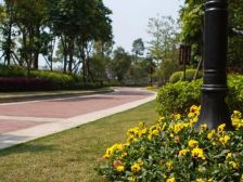 橡树湾一期联庭别墅4室2厅东东南