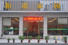 和谐家园 2室1厅 南