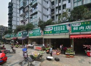 草堂雅居2室1厅南