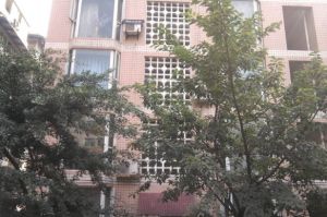 金沙春 2室1厅 南