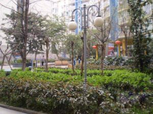 金沙春 2室2厅 南