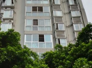 和睦新天地2室1厅东南