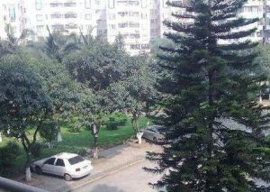 黄岐方正实用户型,东南向生活配套成熟,近地铁