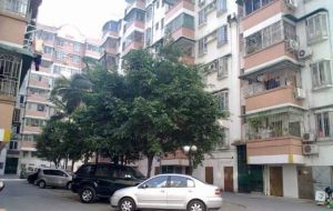 龙园小区3室2厅南