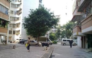 龙园小区3室2厅南