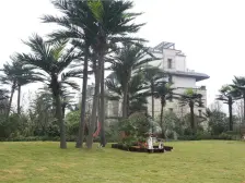 精装上叠叠墅,装修很好,有大露台。