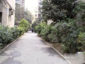 营和街9号 2室1厅 东南