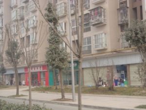 宇众悦府 2室1厅 南