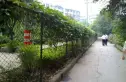 青羊西路2号院实景图