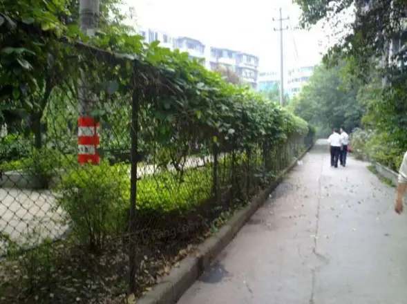 青羊西路2号院实景图