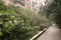 青羊西路2号院实景图