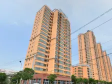 鱼池口,三室,南北通透,中间楼层