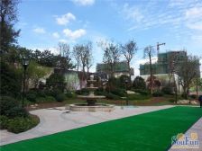 盛和花半里4室2厅南