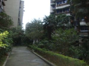 华油巷7号2室1厅西北