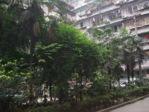 华油巷7号 3室2厅 东南