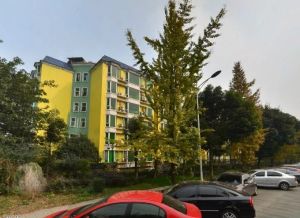 鑫源锦城花园 3室1厅 西南