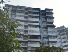 民乐园288号1室1厅东南