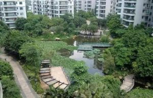 该房处于小区中间安静,望花园望湖,户型方正