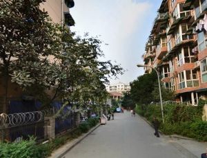 千和沁香华庭3室1厅东南