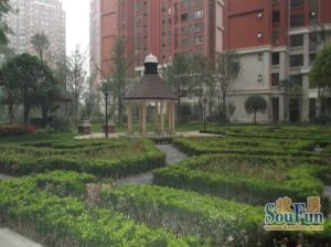 时代水岸康城 4室2厅 东南