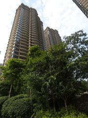 红橡华园2室2厅南