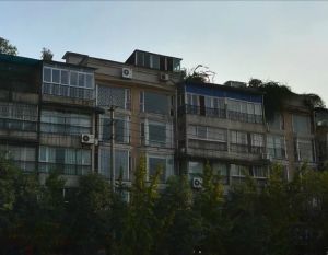 海棠名居2室1厅南
