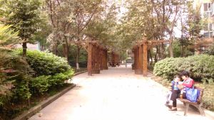 中房蓝水湾3室1厅东北