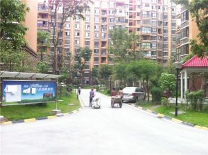 东立国际花城3室1厅西