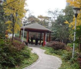 上景东方 3室1厅 东