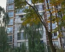 上景东方2室1厅东南