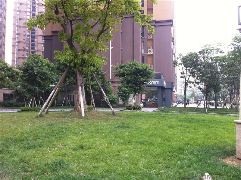 小区相关图