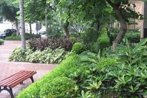 雍景豪园醇品实景图
