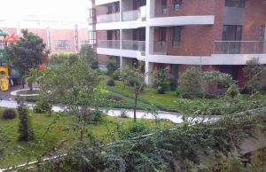 电梯中层大3房,厅大房大,安静看花园格局方正